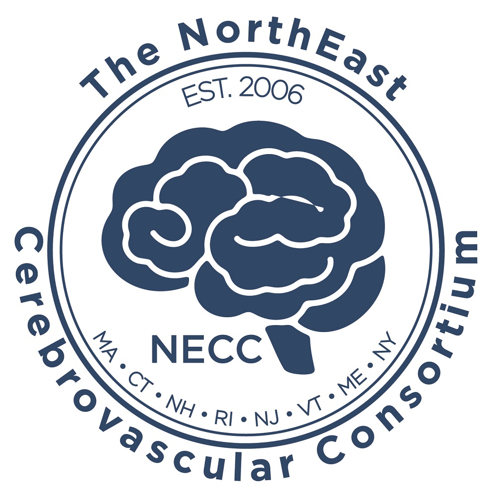 The NorthEast Cerebrovascular Consortium's 14th Annual Summit Logo